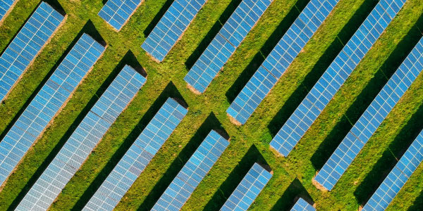 compañia luz, energía verde, energía renovable